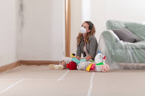 Reliable Hvac And Air Duct Mold Remediation contractor in Mebane, NC by 24 Hour Mold Removal
